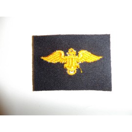 b3577 WW 2 US Navy  Distinguishing Mark DM Naval Aviation Pilot blue IR33E