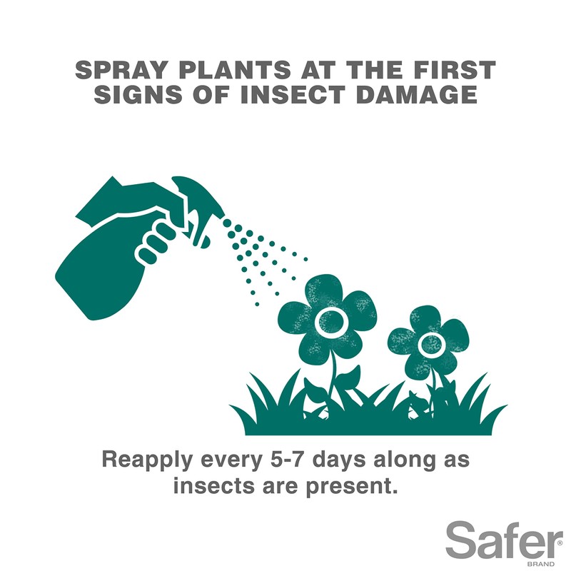 Safer 5118-6 Insect Killing Soap Concentrate - Insecticidal Soap for