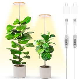 LBW Plant Grow Light Bamboo Plants Grow Lights for Indoor Full Spectrum LED Plant Grow Light, 4/8/12H Recurring Timer