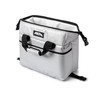 AO Coolers Carbon Soft Cooler with High-Density Insulation, Silver, 24-Can