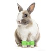YUYUSO Rabbit Splay Leg Brace for Rabbits with Bilateral Splayed