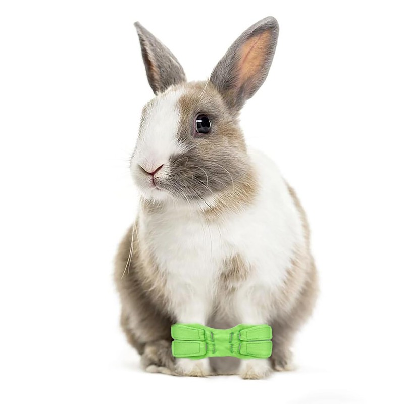 YUYUSO Rabbit Splay Leg Brace for Rabbits with Bilateral Splayed