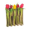 Gadjit Vinyl Window Vase 5 Blossom - Flexible, Unbreakable Vinyl