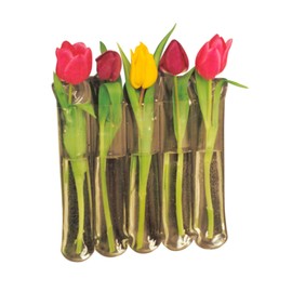 Gadjit Vinyl Window Vase 5 Blossom - Flexible, Unbreakable Vinyl Plastic vases That Attach to Any Window, Mirror, or Non-Porous Surface with Suction Cups, Holds 5 Flower or Bamboo Stems