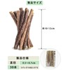 Cat Teeth Grinding Stick, Cat Chew Toy, Agatabi Tree, Kitten