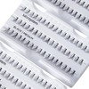 Salon System Individual Lashes SALON VALUE PACK Black Medium by