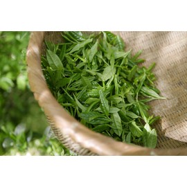 Japanese Cherry Blossom Green Tea Flavoured (100g)