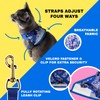 Travel Cat Harness and Leash Set - Adjustable Fit Mesh