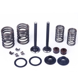 Glixal ATMT1-061 139QMB 139QMA 50cc 60cc 80cc 100cc GY6 Cylinder Head Intake & Exhaust Valves Set with Valve Spring Assembly Kit for Chinese Scooter Moped ATV Go Kart (69mm Length)