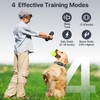 Dog Training Collar with Remote, Electric Dog Collar for Larege