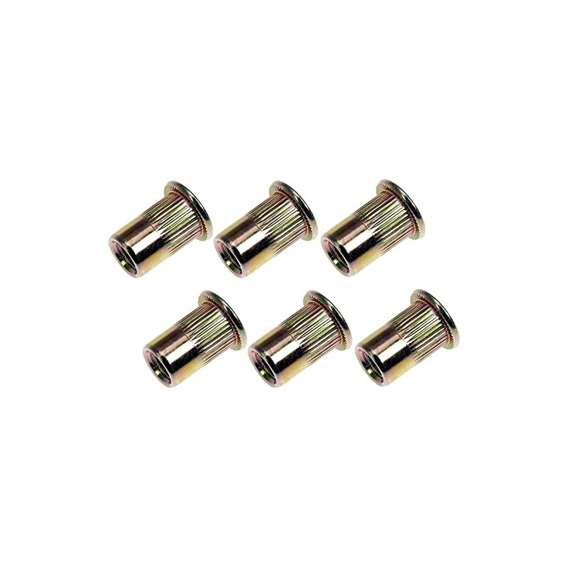Dorman 963-254D: Rivet Nut - M6