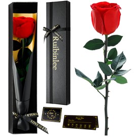 Ruibinlee Infinity Rose Mother's Day Gift for Mum, Eternal Rose Gifts for Mum, Women, Girlfriend, Mother-in-law, Sister Gift, Mother's Day Birthday Gift, Preserved Rose in Gift Box