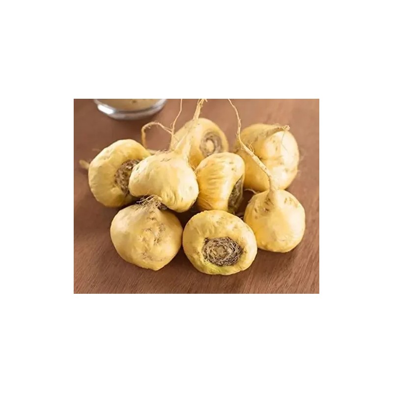 Food To Live Polvo Orgánico De Maca 16 Oz