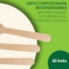 ChiiGe Biodegradable Disposable Forks - Sustainable and Convenient Cutlery for