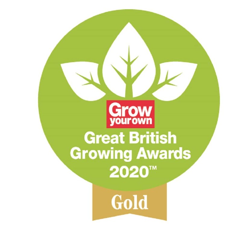 Spear & Jackson 4826RSA Razorsharp Active Anvil Lopper, Multicoloured