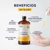 Aceite Puro de Hueso de Chabacano Albaricoque Hebbe Cosmetics 1L