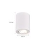 Trio Leuchten Cookie 612900131 Ceiling Light Metal White Matt Excludes