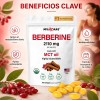 Berberina De 300 Cápsulas Blandas De 500mg *4 Pure Berberine