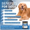 Oritess Probiotics for Dogs 200 Chews, Improve Itchy Skin Itchy