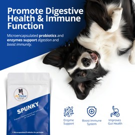 PROTHRIVE Spunky Digestive Supplement - Probiotics, Digestive Enzymes, Joint Support for Cats and Dogs | Pet Probiotics for Dogs and Cats - 8oz