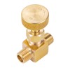 Breezliy 2 Piece Heavy Duty Brass Instrument Replacement Control Needle