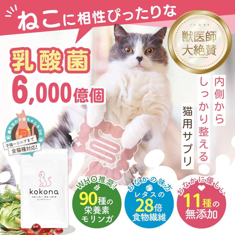 HUGME SHOP Kokona Cat Lactic Acid Bacteria Enzyme Supplement, Highly