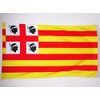 AZ FLAG Sardinia Aragon Flag 3' x 5' for a