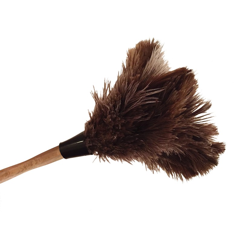 35cm 14'' Premium Quality Genuine Ostrich Feather Duster – Attracts