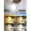 CRLight 12W Dimmable LED Large Globe Bulb 5000K Daylight White