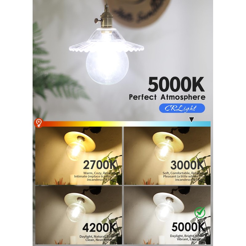 CRLight 12W Dimmable LED Large Globe Bulb 5000K Daylight White
