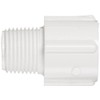 Spears 436 Series PVC Pipe Fitting, Adapter, Schedule 40, White,