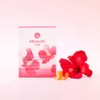 Osulloc [오설록]스윗 히비스커스 콜드브루 티 20입 (원산지:상세설명참조) [Osulloc] Sweet Hibiscus