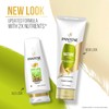 PANTENE PRO-V Nature Fusion Conditioner, 10.4 oz/308mL