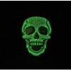 GBJUK Glow in the Dark Skull Pin Badge with Back