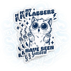 (3Pcs) My Flabbers Have Been Gasted Sticker Funny Sarcastic Saying Cat Stickers Die-Cut Waterproof Vinyl Sticker for Laptop Water Bottle Phone Decal Stuff Gifts for Her Him 2 Inches