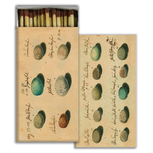 Egg Illustrations Decorative Matchboxes with Wooden Matches - Great for Lighting Candles, fireplaces, Grills and More | Set of 10