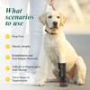Strap-On Drop Foot Brace (No Knuckling Boot Brace) for Dogs—