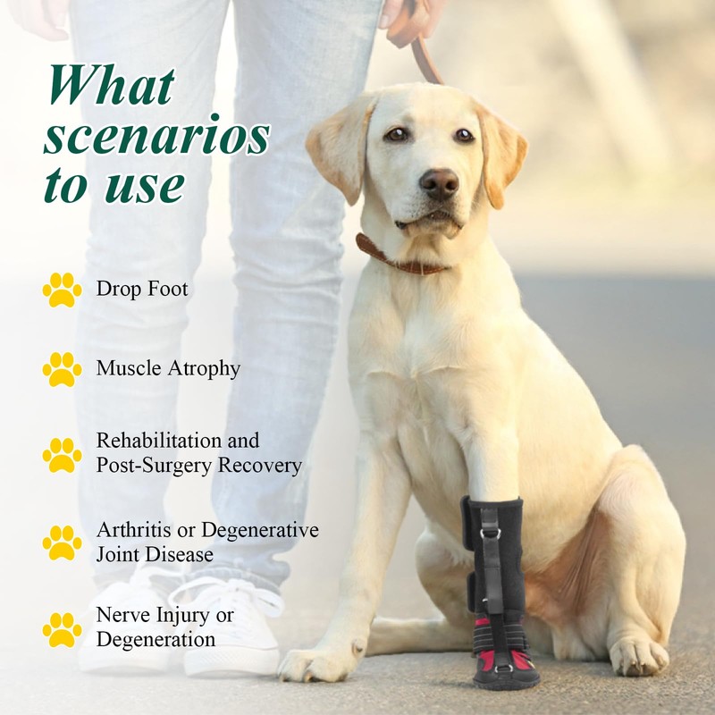 Strap-On Drop Foot Brace (No Knuckling Boot Brace) for Dogs—