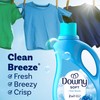 Downy Downy Fabric Softener Liquid, Clean Breeze Scent, 44 fl