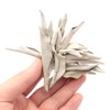 GOLD STONE White Sage with Branches, Cluster, Unselected, 1.8 oz