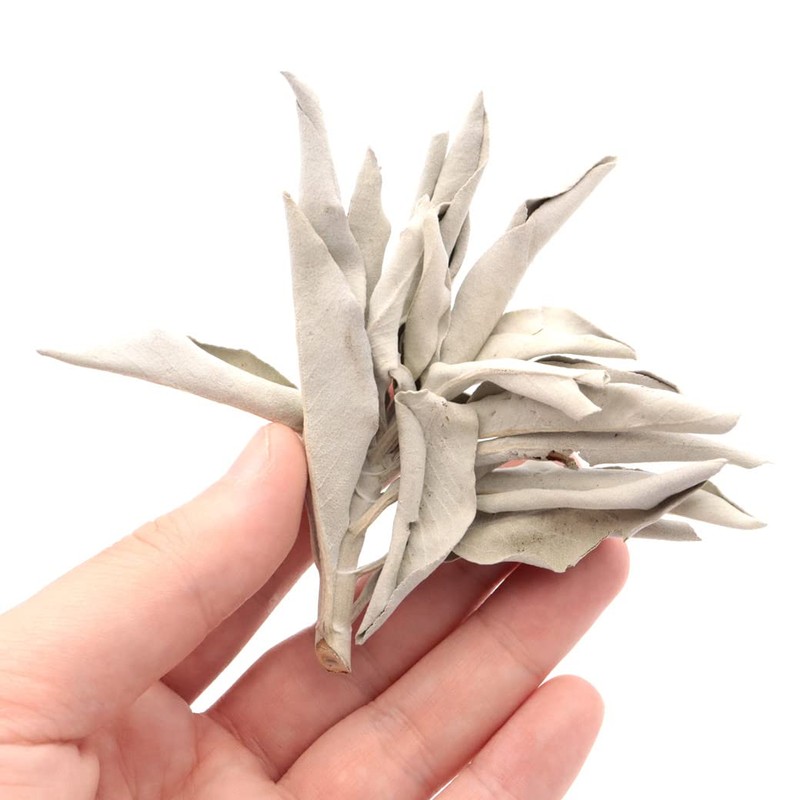 GOLD STONE White Sage with Branches, Cluster, Unselected, 1.8 oz