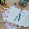 BIC, Bolígrafo de Punto Mediano, Pluma Variada con Clip, 4
