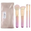 Royal Brush Moda Rose Cosmetic 5 Piece Make Up Complete