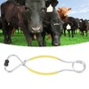 Cattle Bull Cow Nose Pliers Metal Punch Free Strong Traction
