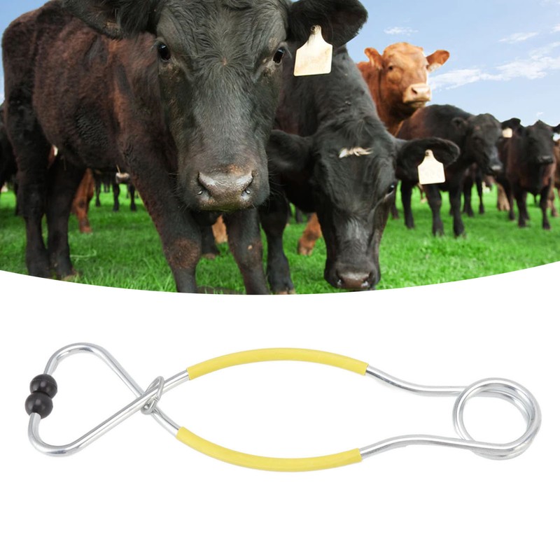 Cattle Bull Cow Nose Pliers Metal Punch Free Strong Traction