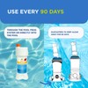 FROG BAM 90-Day Algae Preventative - Pool Winterizer Chemical and