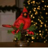 Cardinal Red Bird Holiday 8" Figurine