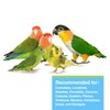 Hari Hagen Tropican Lifetime Formula Parrot Food, 4 lb Parrot