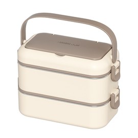 Stainless Steel Double Layer Lunch Box, Portable Insulated Lunch Case with Utensils, Secure Clasp, for Work & School (21x11x20.5CM)