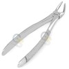 G.S English EXTRACTING Forceps Lower PREMOLARS 8, English Pattern Extraction